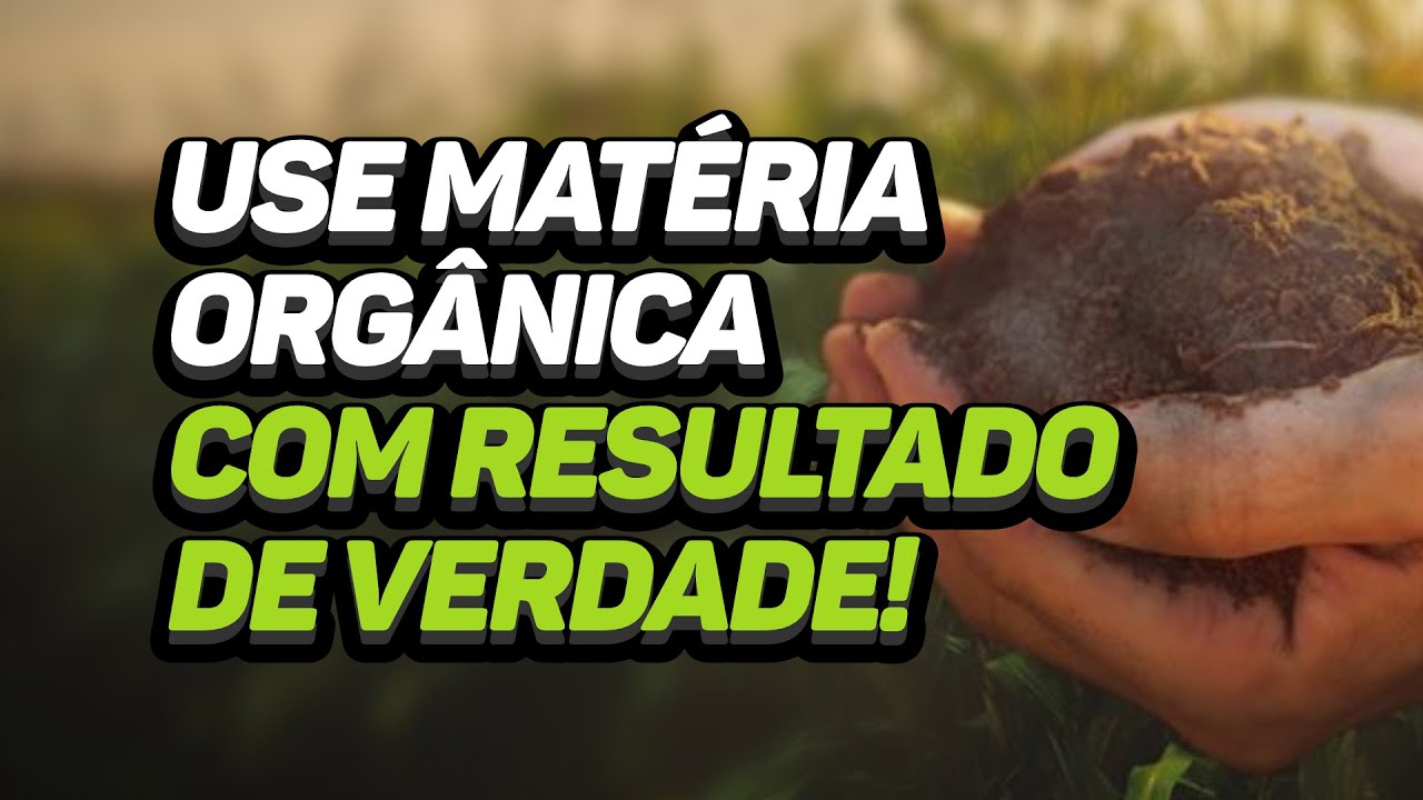 FASES DA MATÉRIA ORGÂNICA NO SOLO: Entenda o Ciclo e a Aplicação Eficiente