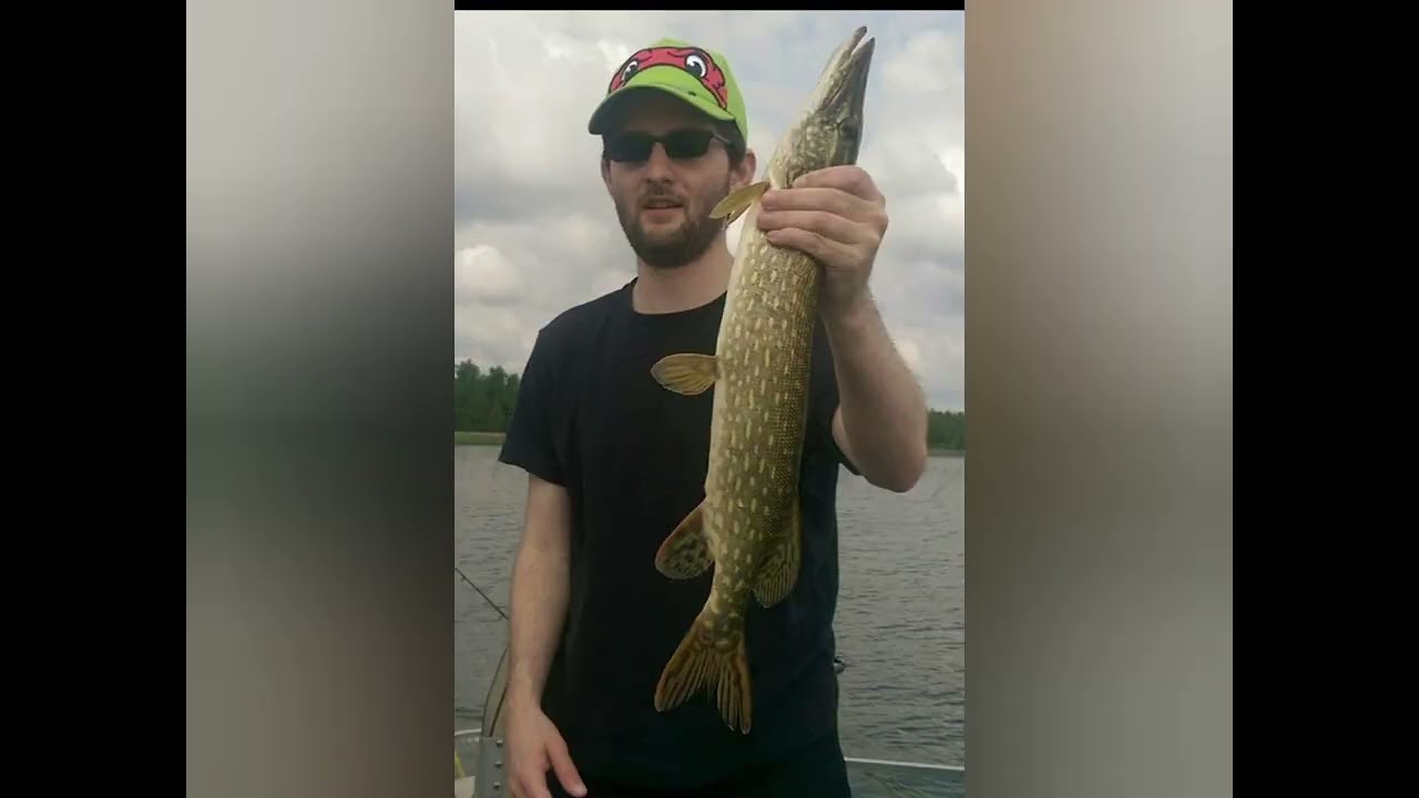 Moose Lake, Grand Rapids Minnesota fishing trip 2015 including 4 muskies