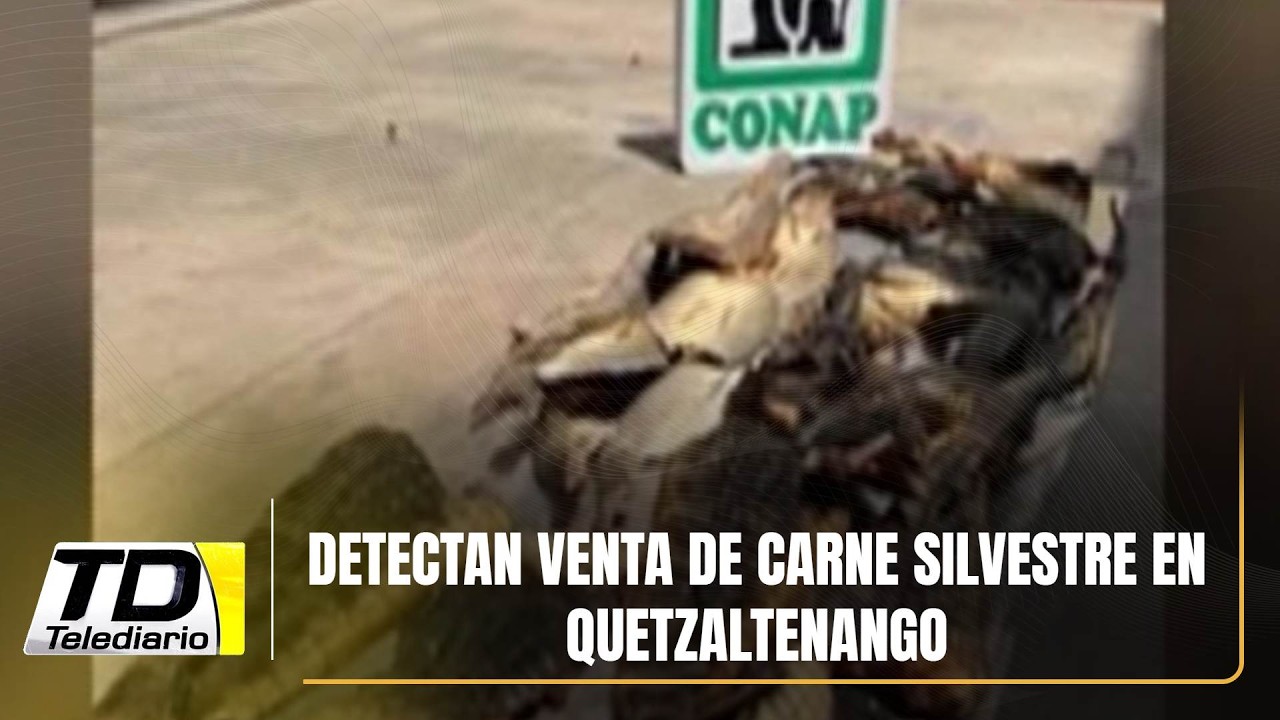 Detectan venta de carne silvestre en Quetzaltenango