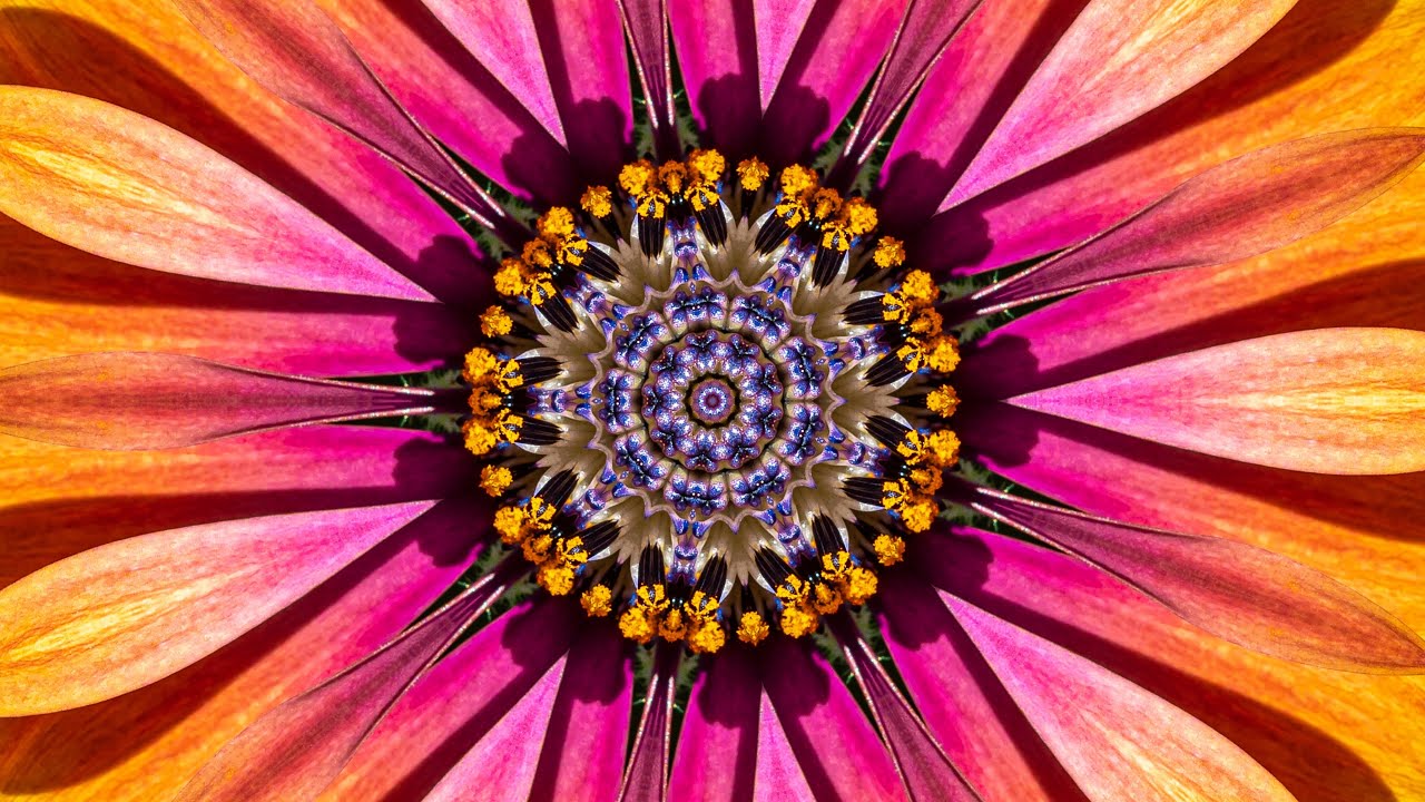 The Splendor of Flowers Kaleidoscope Video Beta v1 - 75 Minutes of Peace - A Jubilee for All Nations