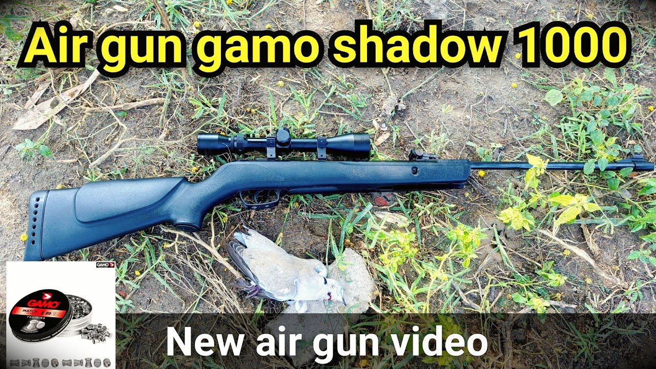 gamo shadow 1000 hunting | air gun gamo shadow 1000 | new air gun video 2025