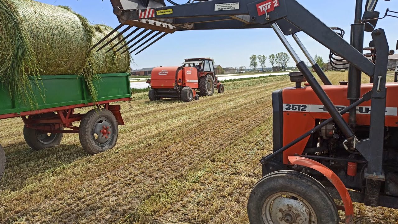 Żyto na kiszonkę 2020 🔥 Ursus 3512 🔥 Zetor 6911🔥 Ursus c-330
