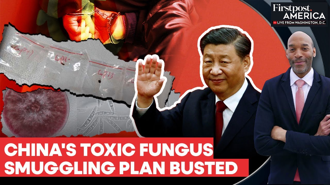 US: China's Agroterrorism Plan Busted, Couple Caught With Toxic Fungus | Firstpost America | N18G