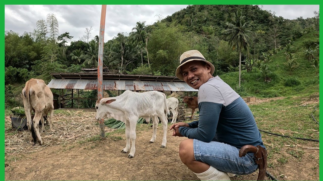 ParaNg HITA LANG NI LEMER ANG KANYANG ANAK..IBA LANG TALAGA PAG NATIVE LANG ANG NANAY