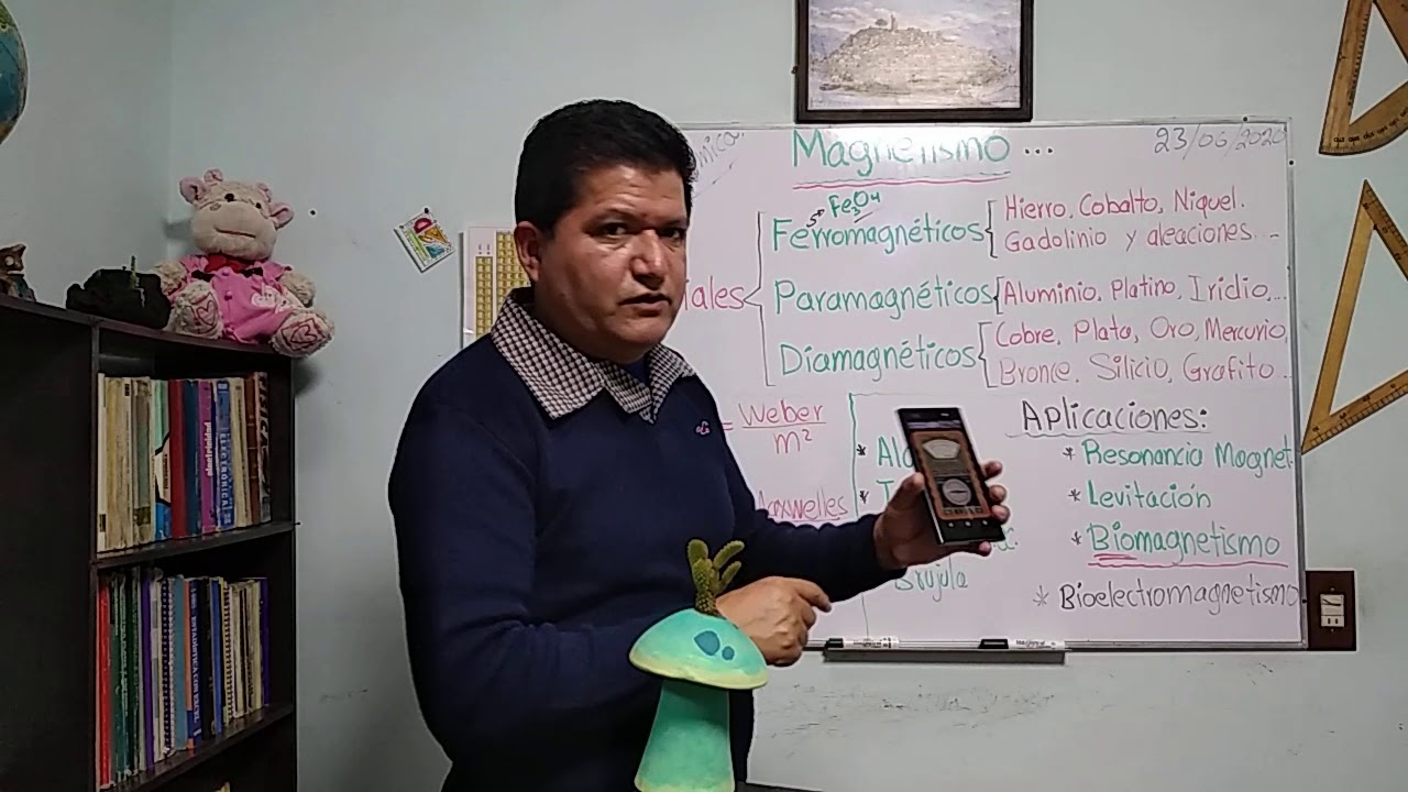 Magnetismo en las plantas