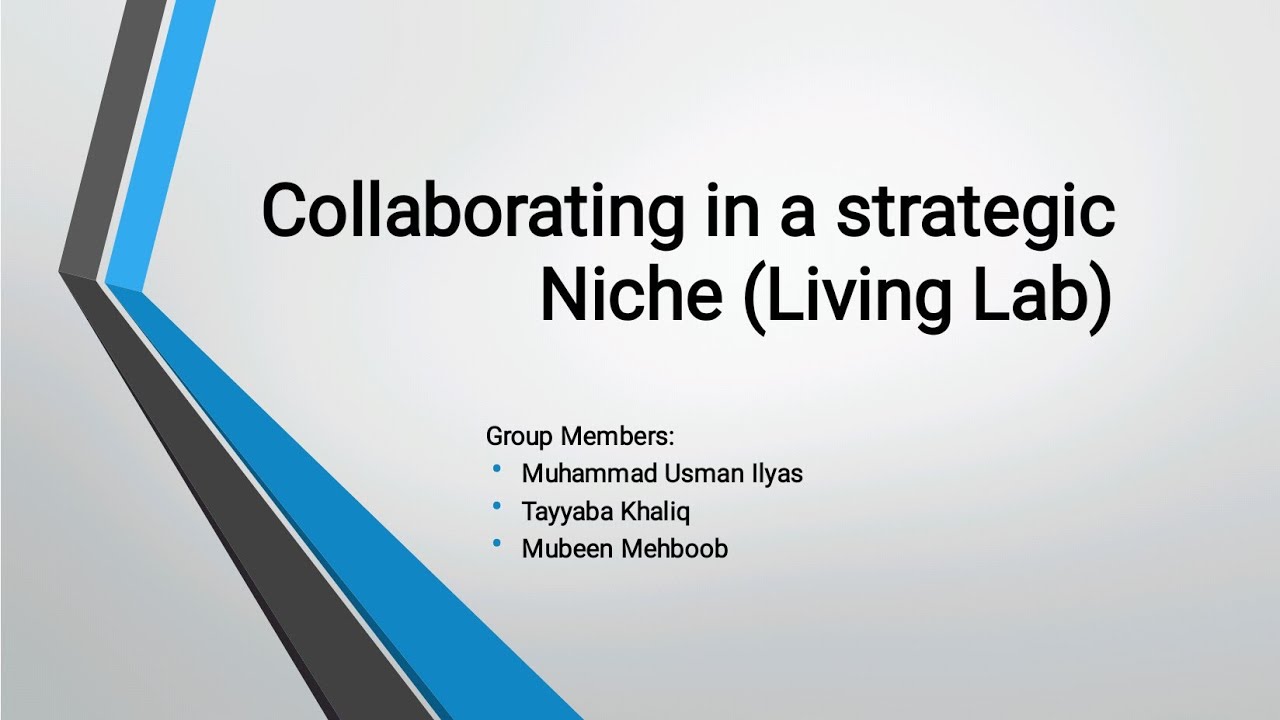 Collaborating in a strategic Niche (Living Lab) Group presentation