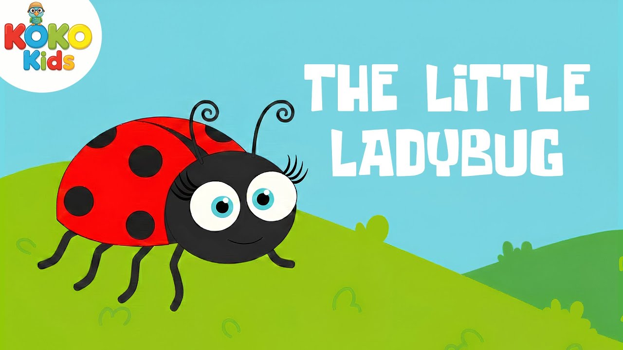 Itsy Bitsy Lady Bug I By Koko Kids