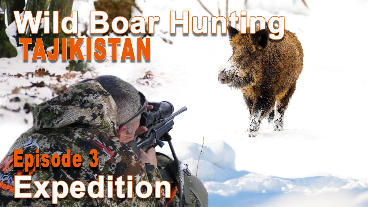 Wild boar hunting in Tajikistan (3/3) // Chasse au Sanglier au Tadjikistan (3/3) // 2020