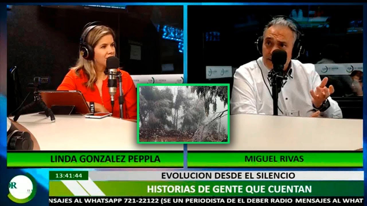 ¿Por qué es tan importante el Silencio al Cerebro? | Aquí Estoy | El Deber Radio