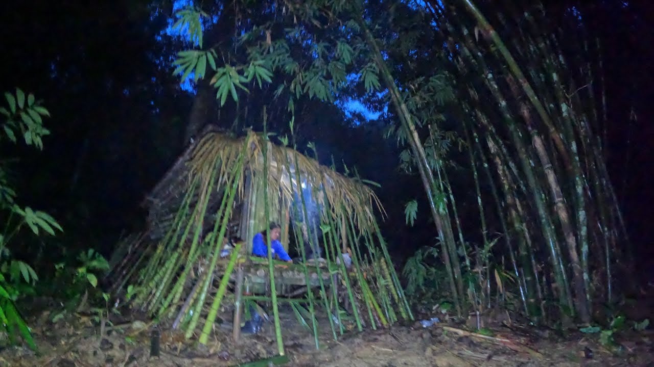 นอนที่พักเก่าในป่าดิบ ฟ้าร้องฝนตกหนักมาก  ต่อเติมเสริมรั้วหนาม ป้องกันสัตว์ร้ายep80. barbed fence