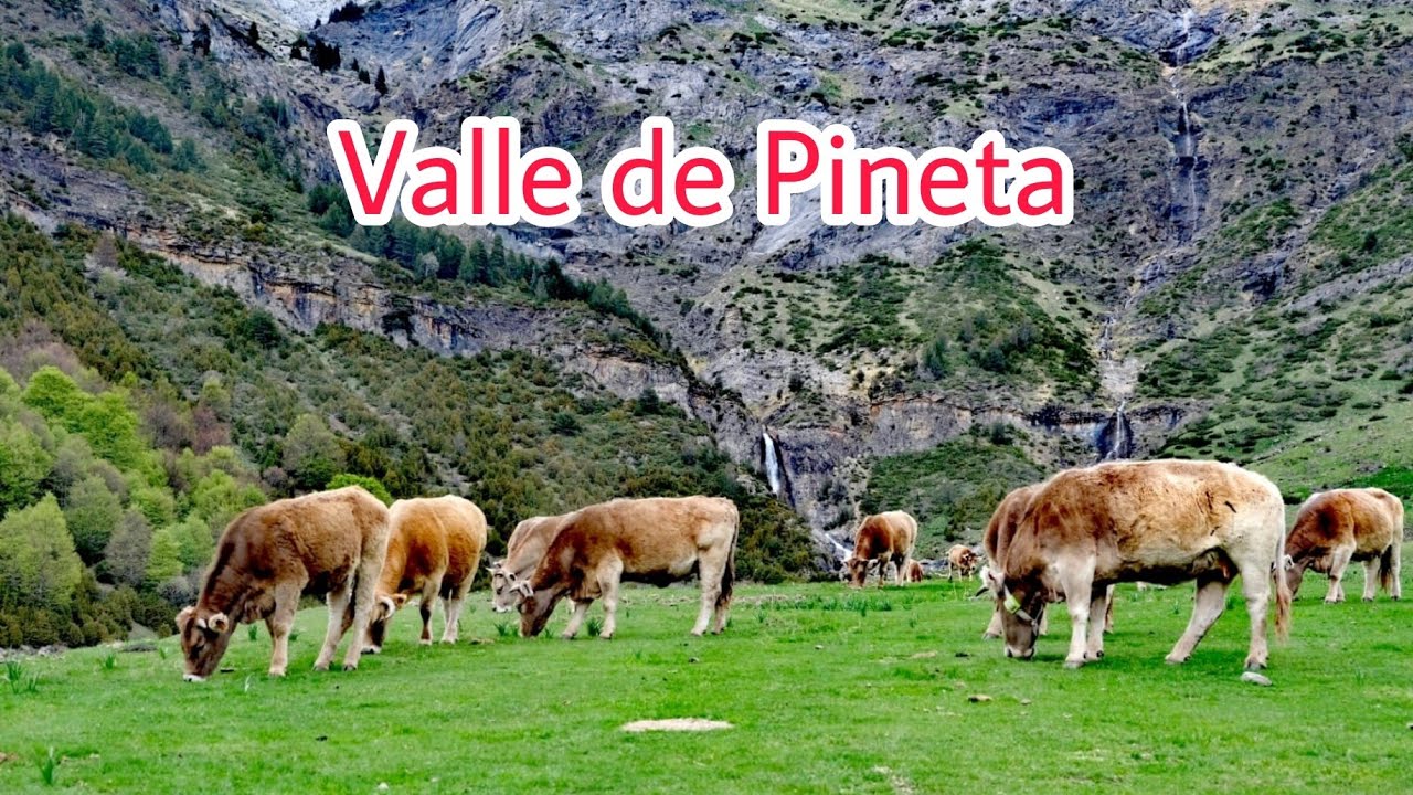 Valle de Pineta / Cascadas y Llanos de La Larri / Ruta fácil por Ordesa y Monte Perdido