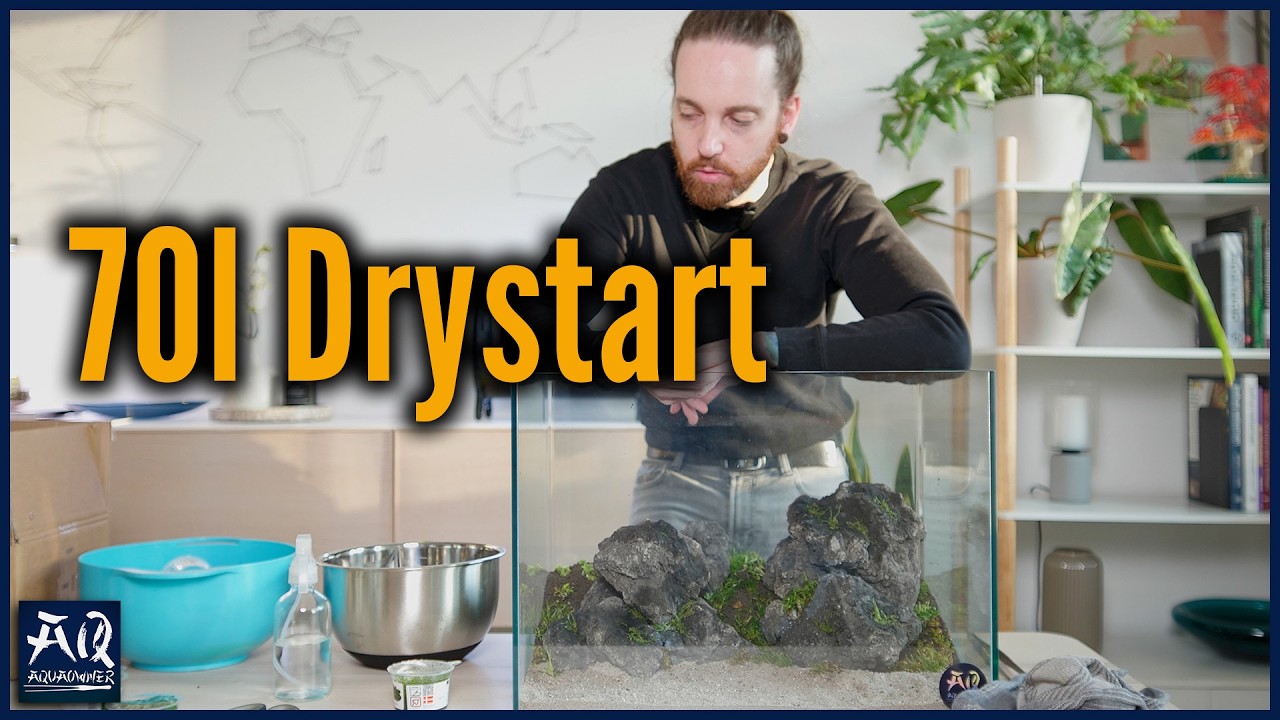 Einfacher Aquariumstart ohne Wasser! | AquaOwner