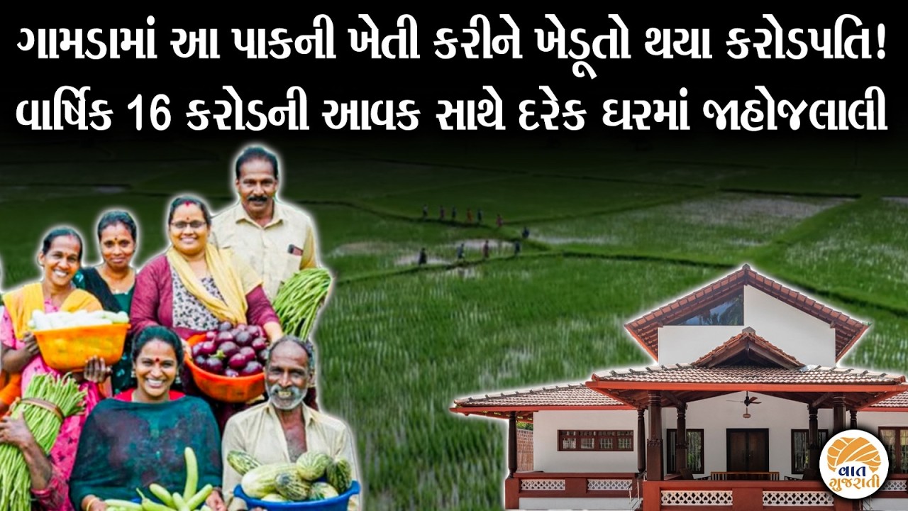 અનોખી ખેતી કરીને આ ગામના ખેડુતો બની ગયા કરોડપતિ | Farmers | Khedut #village