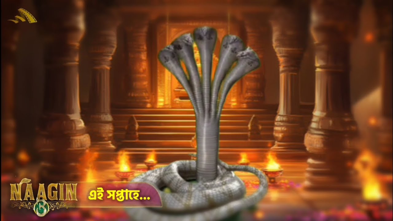 Naagin 3 | New Promo | এই সপ্তাহে দেখুন | Akash Bera HD