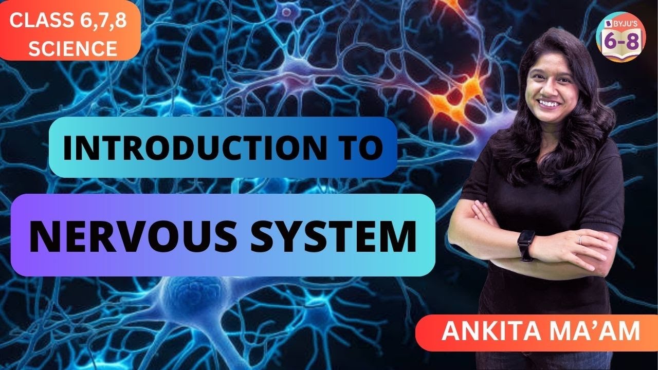 Introduction to the Nervous System | Class 6,7,8 | Science