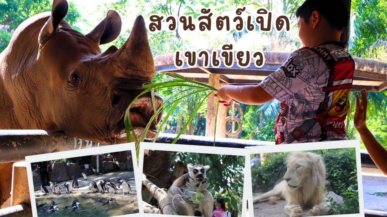 สวนสัตว์เปิดเขาเขียว (มี.ค.69) Khao Kheow Open Zoo  (March 2026)