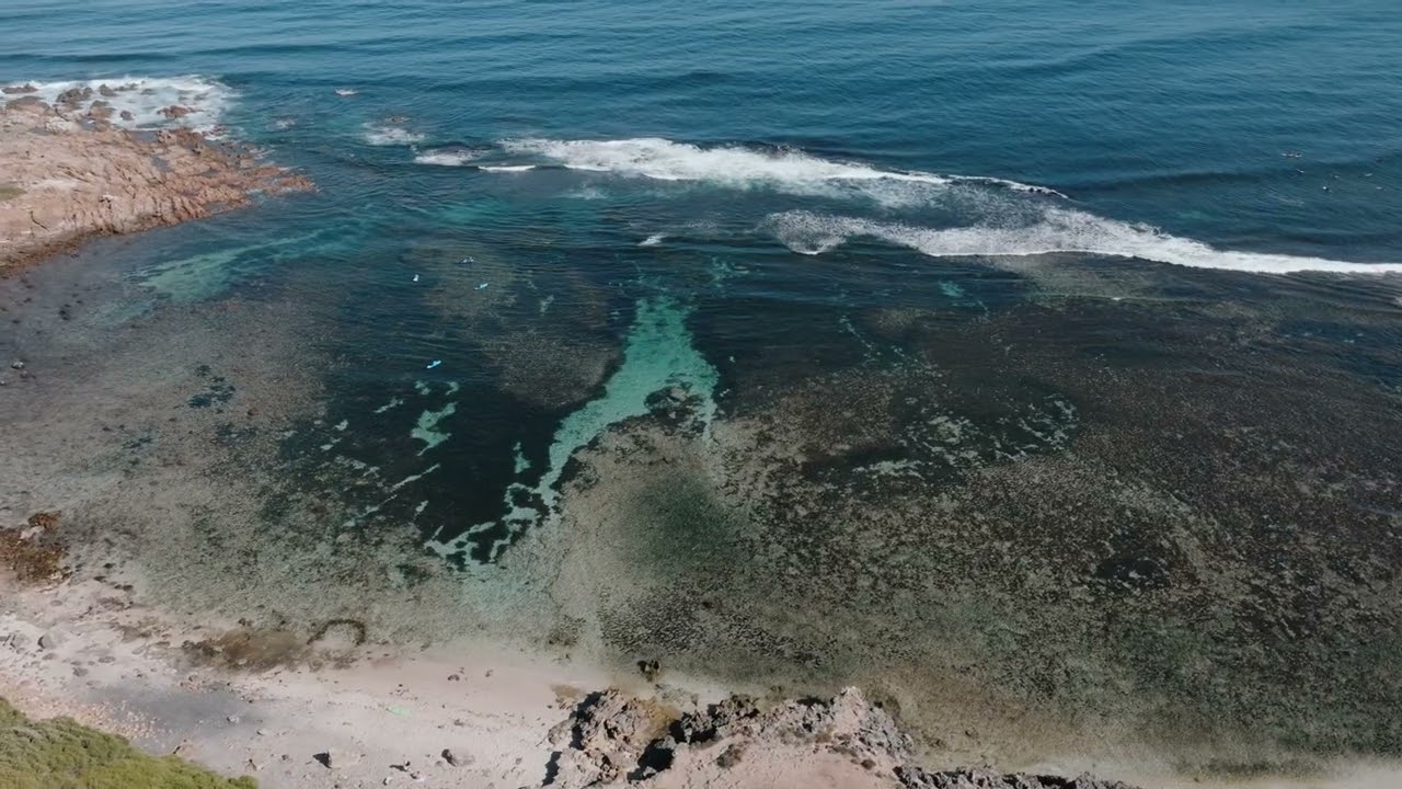 The Best Snorkelling Spots In The Margaret River Region - Aquarium & Yallingup Lagoon