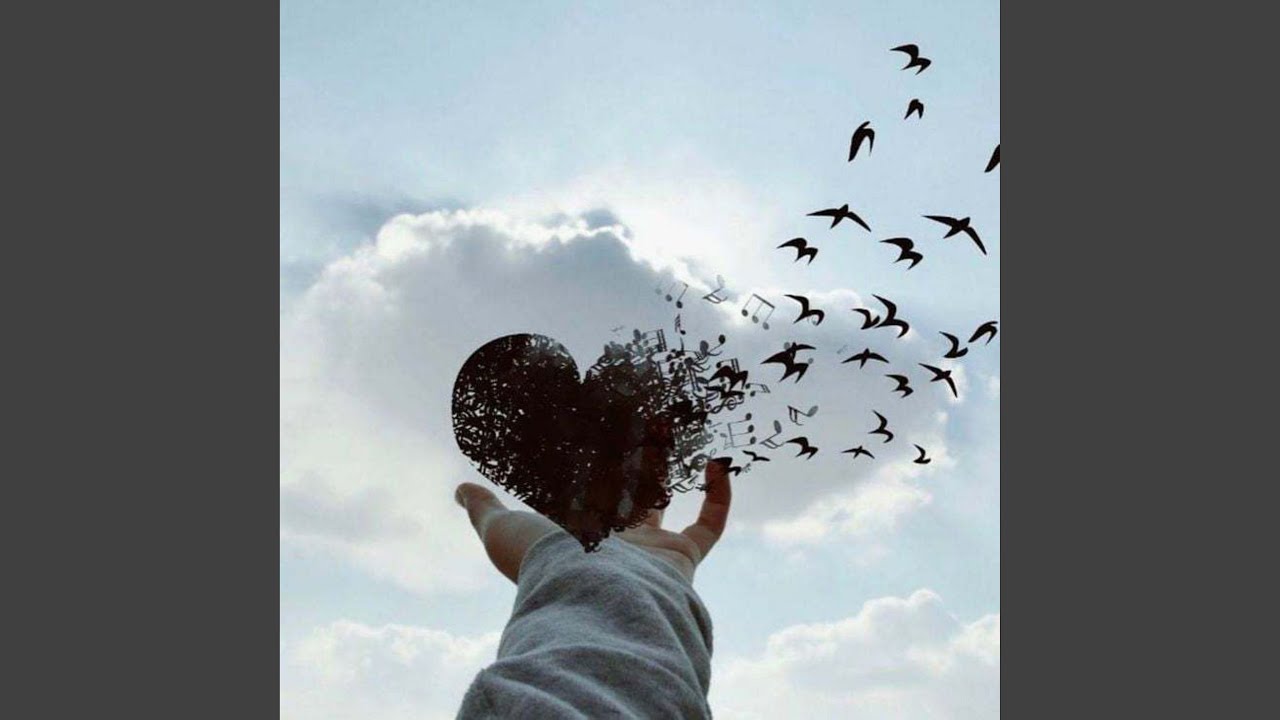 Твои киты и звёзды