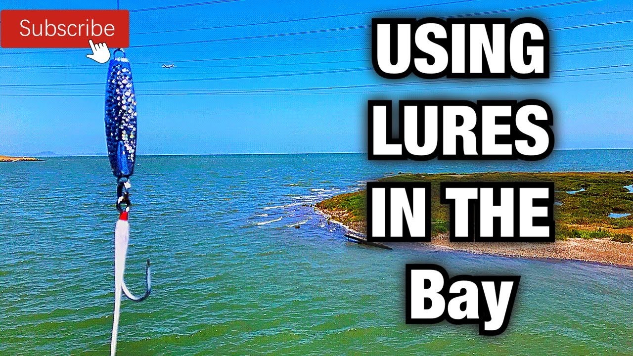 FISHING SAN MATEO CALIFORNIA (ONLY LURES)