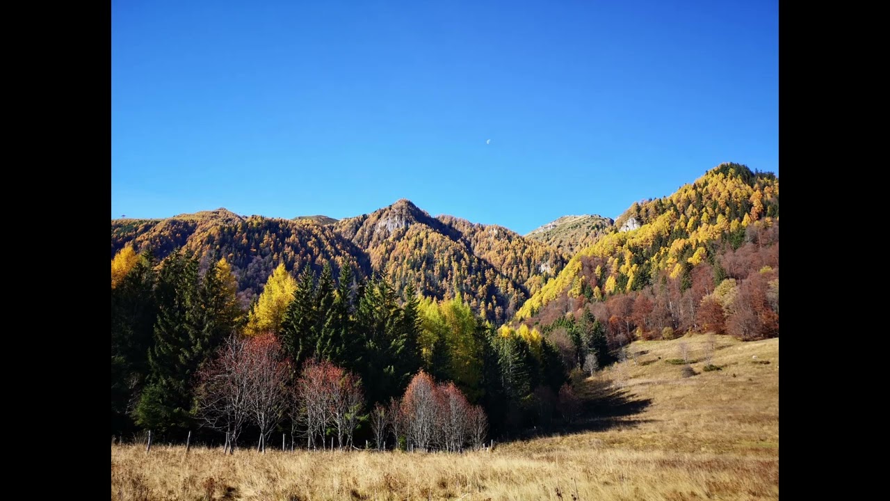 Semnal M   Bal la Apahida - Varianta buna