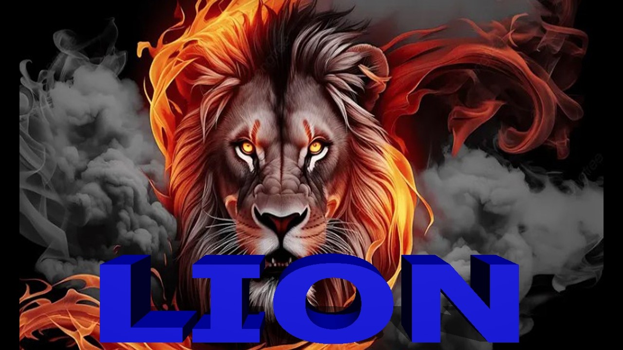 💥 عملاق آخر يدخل الساحة! خرافي – سريع – خفيف ويشتغل على كل أجهزة Android و Android TV بدون مشاكل 😱