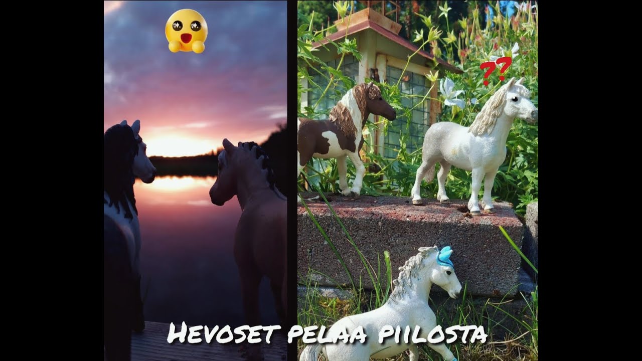 Hevoset pelaavat piilosta