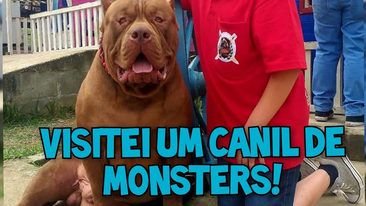 Visitando um canil de Pitmonster!