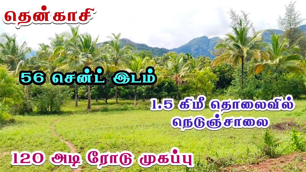 #தென்காசி || குறைந்த விலையில் நல்ல முதலீட்டில் மெயின் ரோட்டின் மேல் இடம் விற்பனைக்கு #tenkasi