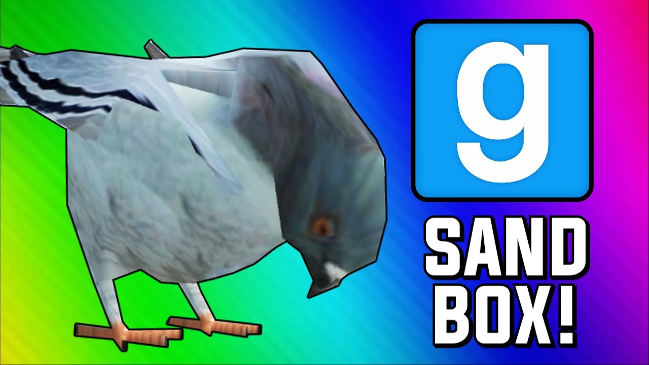 Gmod: Bird Simulator! (Garry's Mod Sandbox Funny Moments)