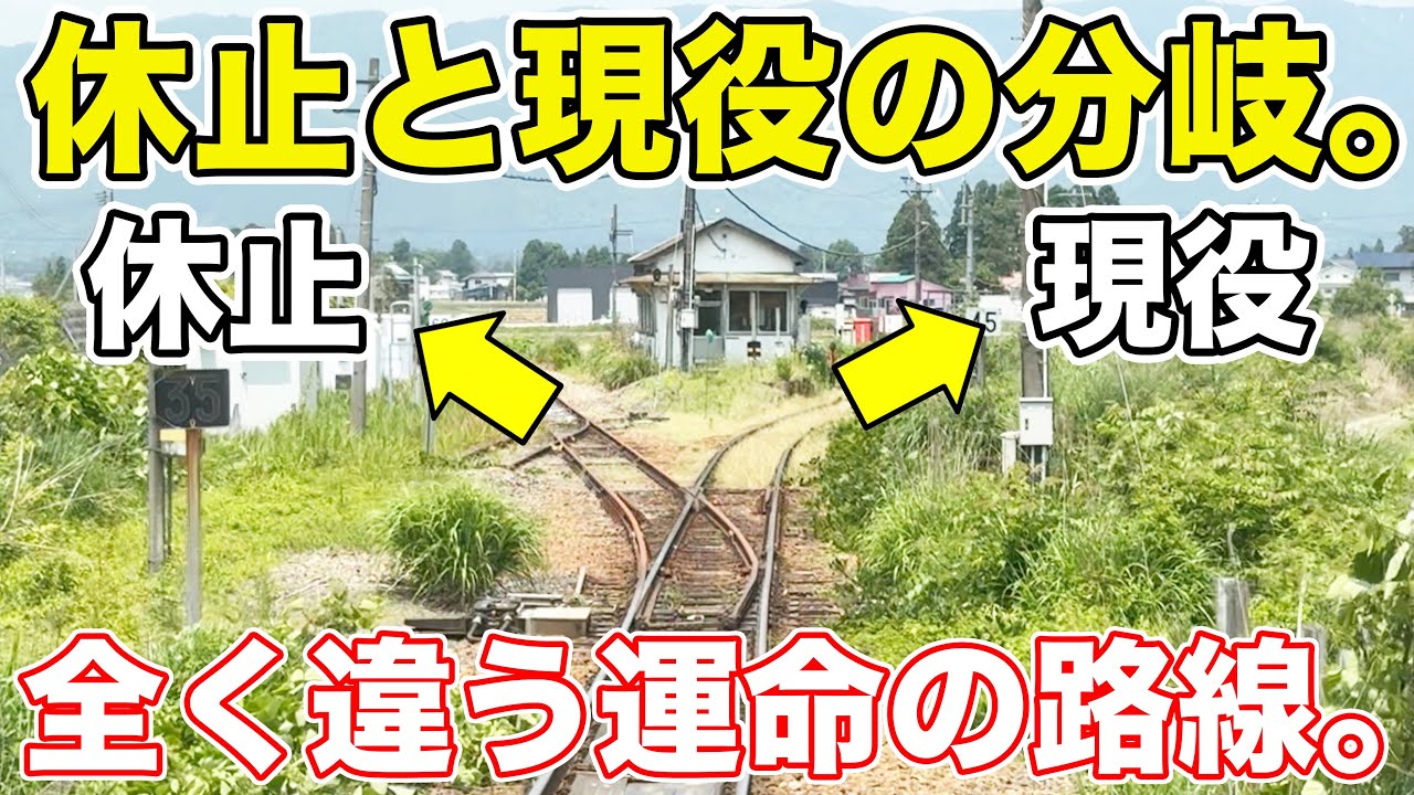 半分休止状態の激レア踏切に行ってみた。