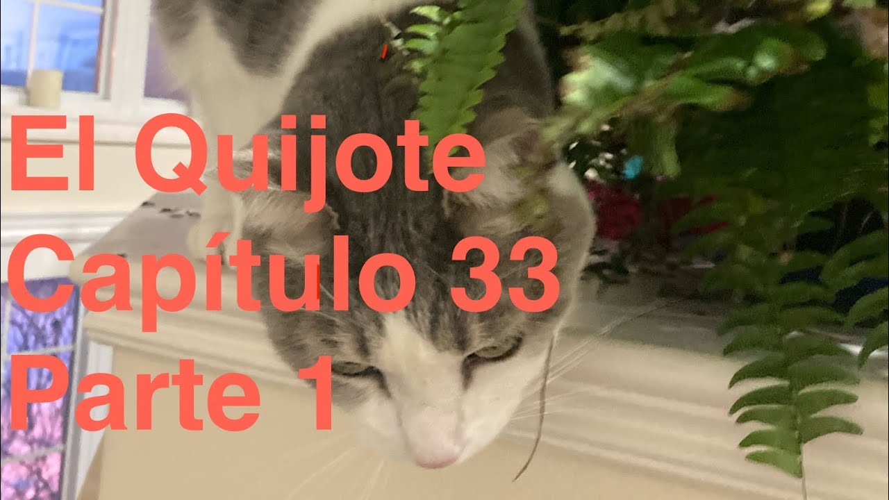 Comentarios al capítulo 33 del Quijote
