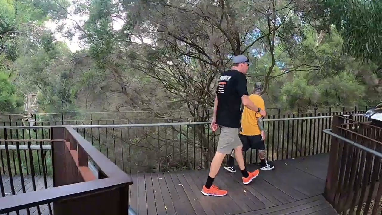 A Peaceful Walk Through Kings Park | Perth&rsquo;s Natural Beauty 🌿🌸🌇