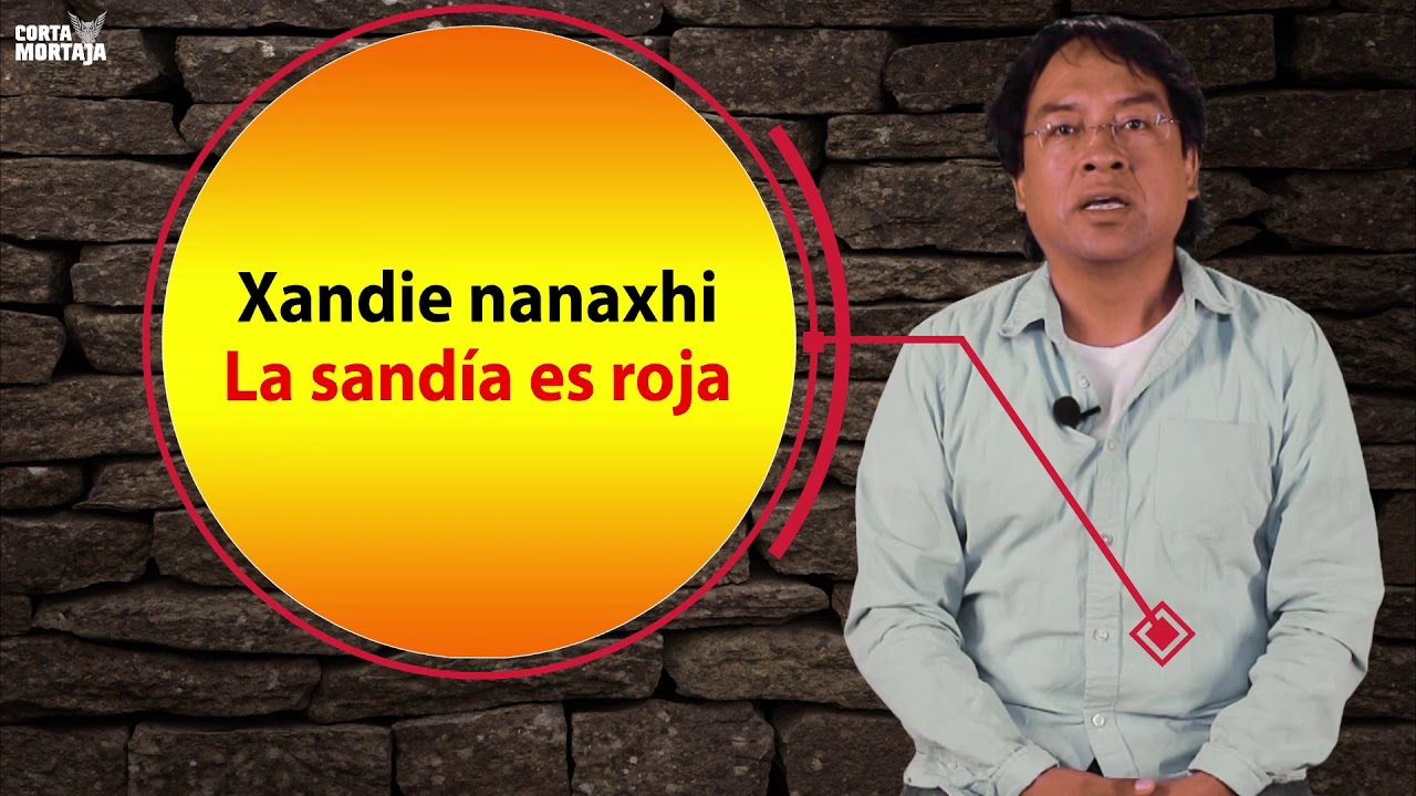 Los adjetivos del Zapoteco