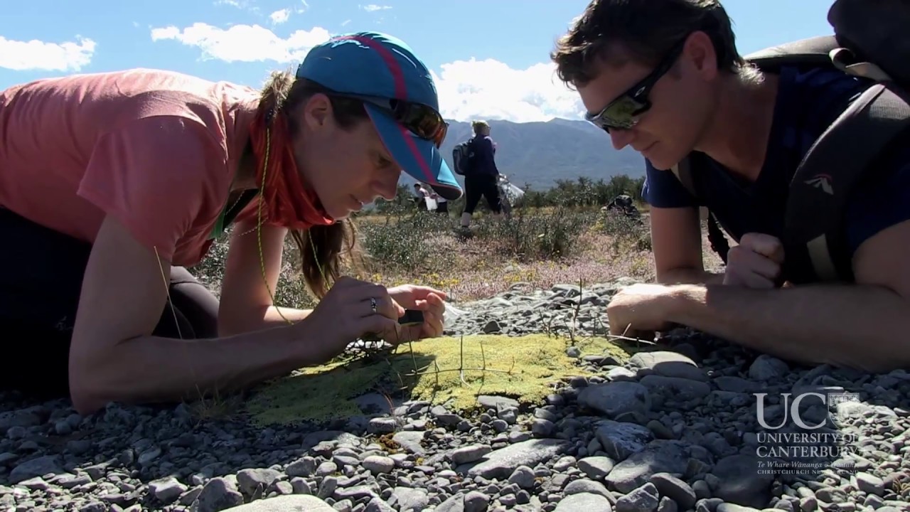 Practical Field Botany &ndash; BIOL305