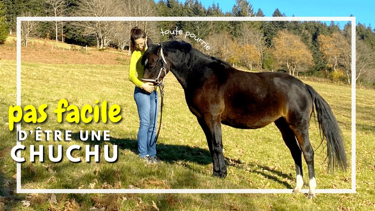 D&Eacute;SESP&Eacute;R&Eacute;E ... ET D&Eacute;SESP&Eacute;RANT !