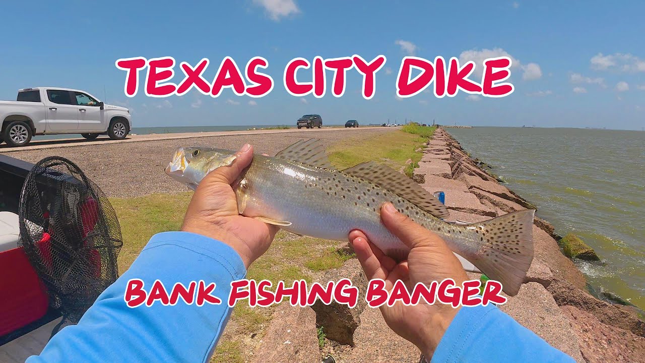 🔥 Texas City Dike Went OFF! | Trout, Reds & Drum from the Bank