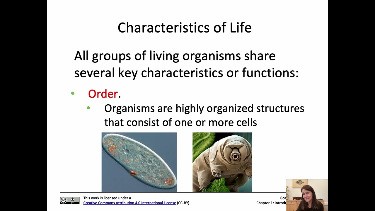 Chapter 1 1 1 2 Lecture Spring 2026 Part 1