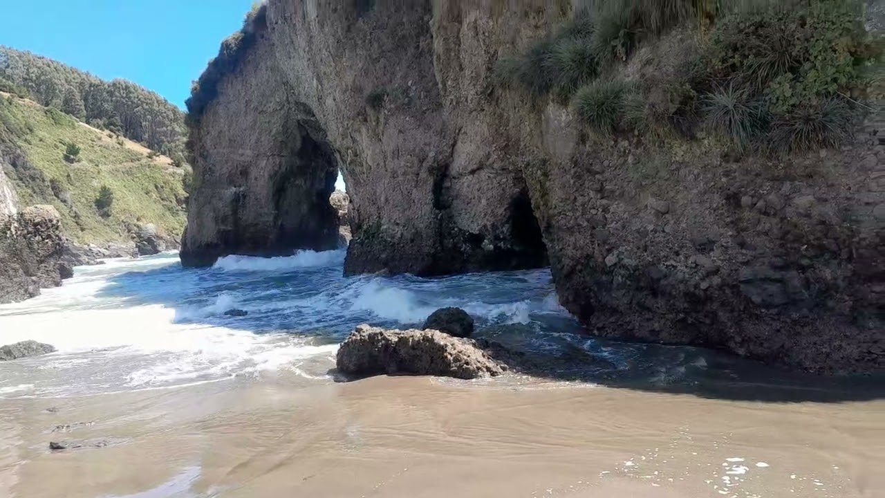 PLAYA PILOLCURA VALDIVIA CHILE 