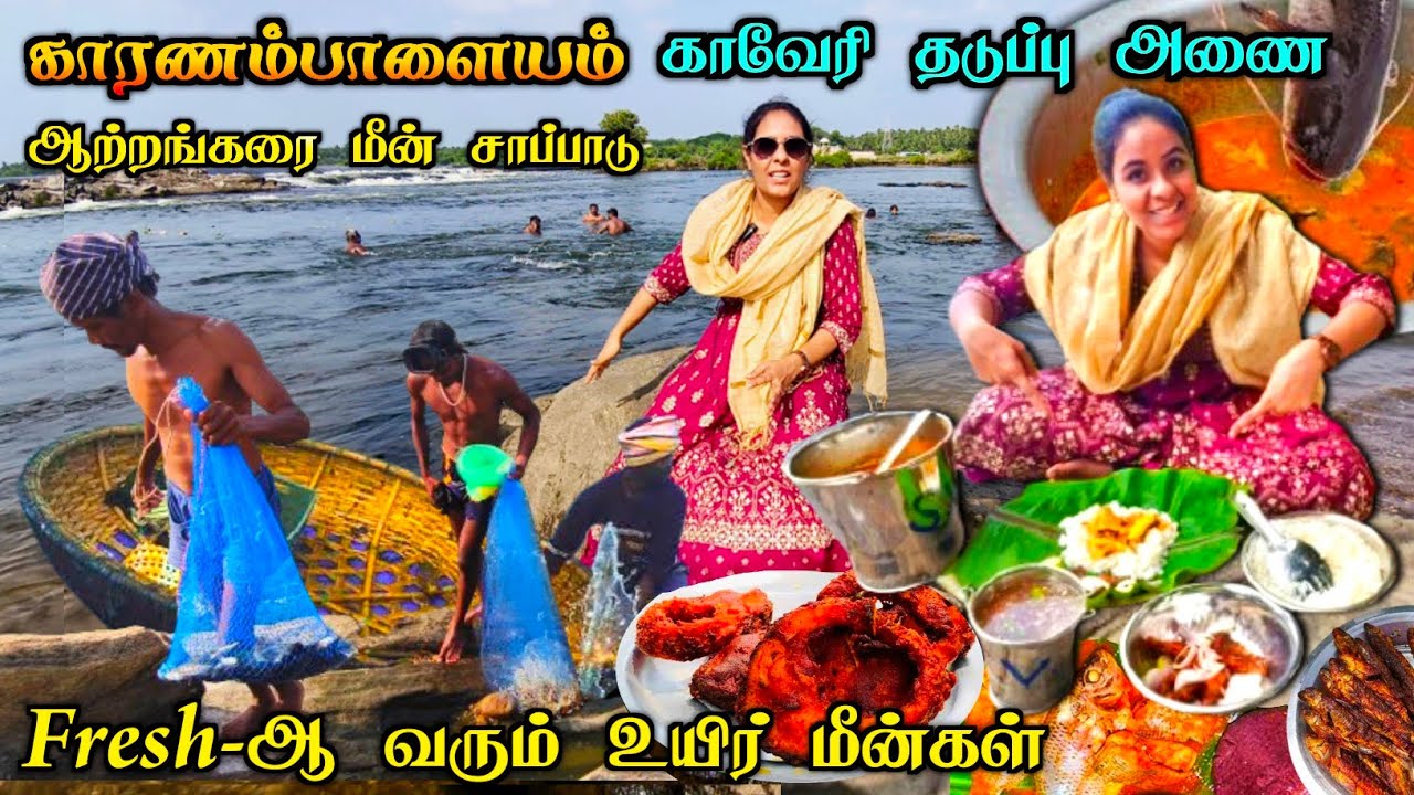 💥💯காரணம்பாளையம் Dam-ல காவேரி ஆத்து மீன புடிச்சி சமைத்து சாப்பிடலாம் வாங்க😋🔥| Media பட்டதாரி #kaveri
