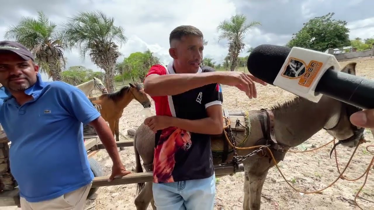 Cavalos de 200 Reais no Bola Monteiropolis - AL 15 - 02 - 2026 #nordeste