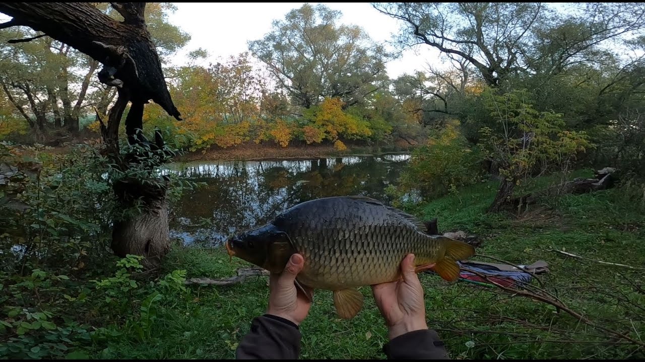 A ZAGYVA - 3. NAP - FEEDER HORGÁSZAT.