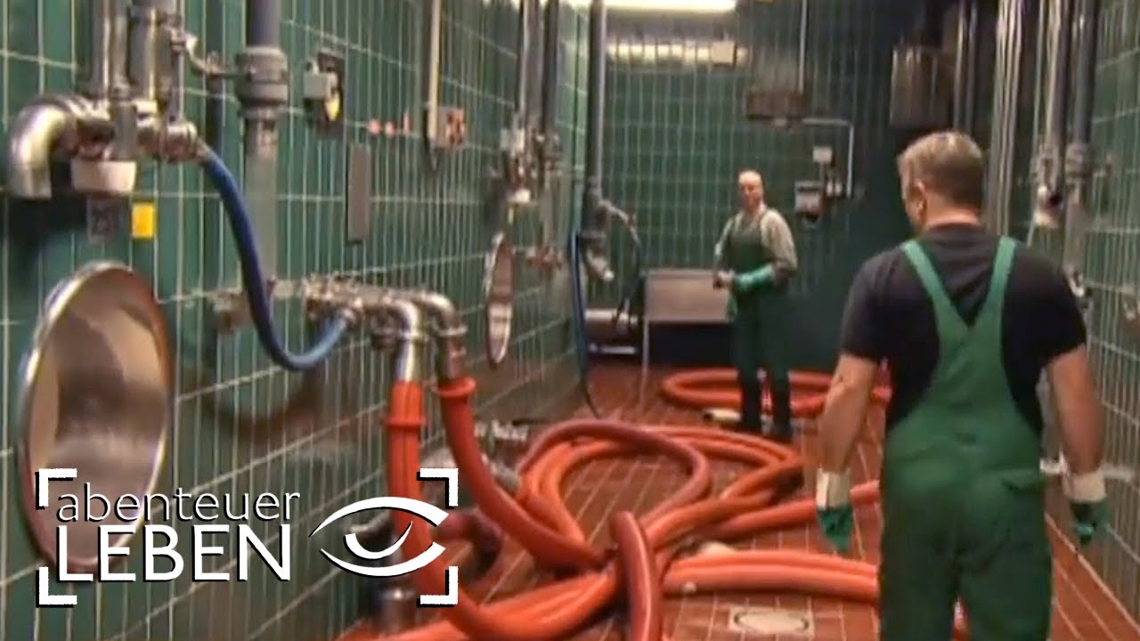 Wie funktioniert die Beck's Brauerei? (1/2) | Abenteuer Leben