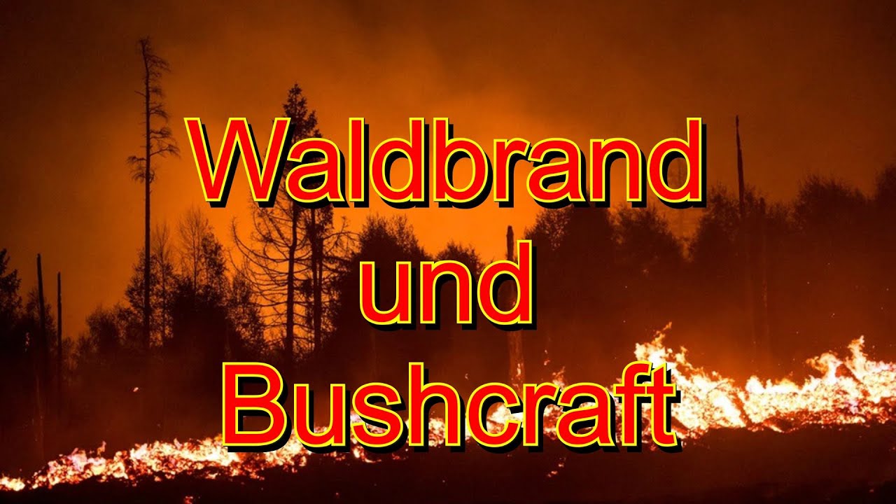Renn, wenn der Wald brennt