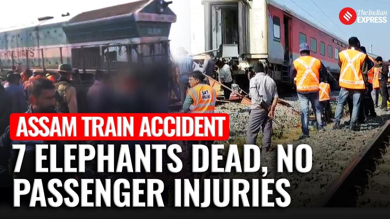 Seven Elephants Killed In Early-Morning Train Accident In Assam | Rajdhani Express