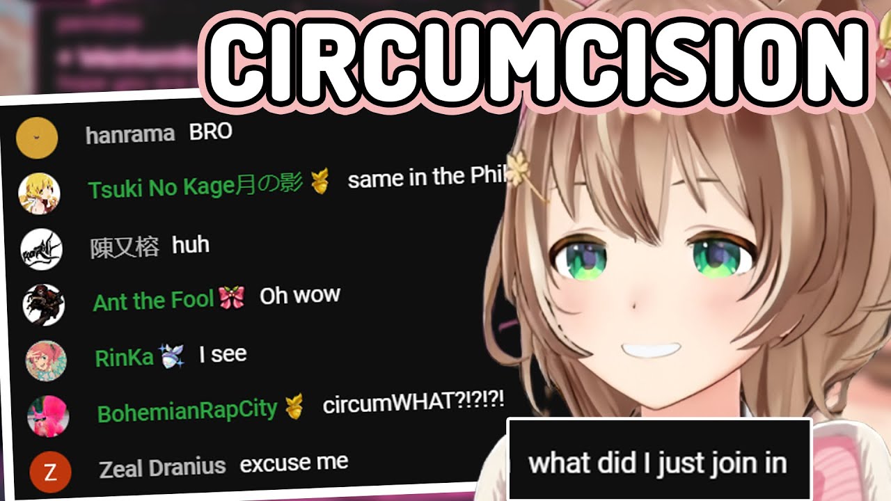 The Most Normal Talk In Risu's Stream