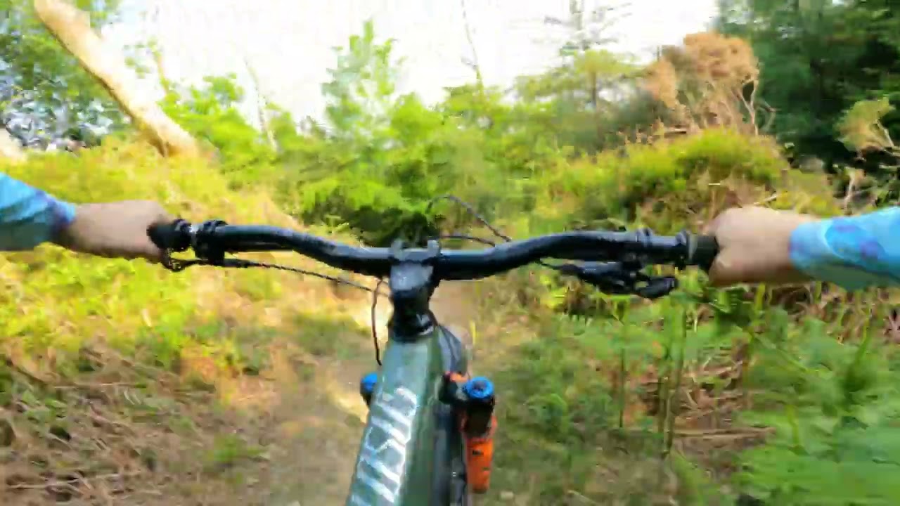 Irish Downhill Mountain Bike National Series - Round 1 Track Preview