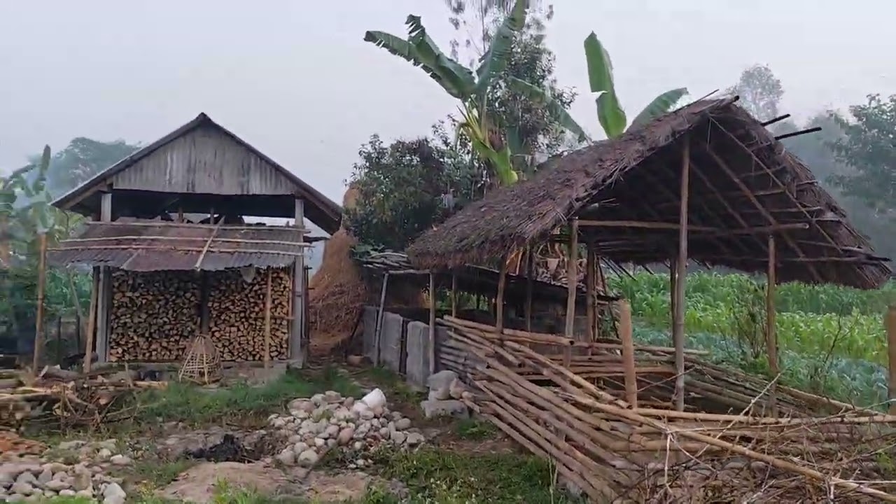 Jhapa kamal gau ghumgham