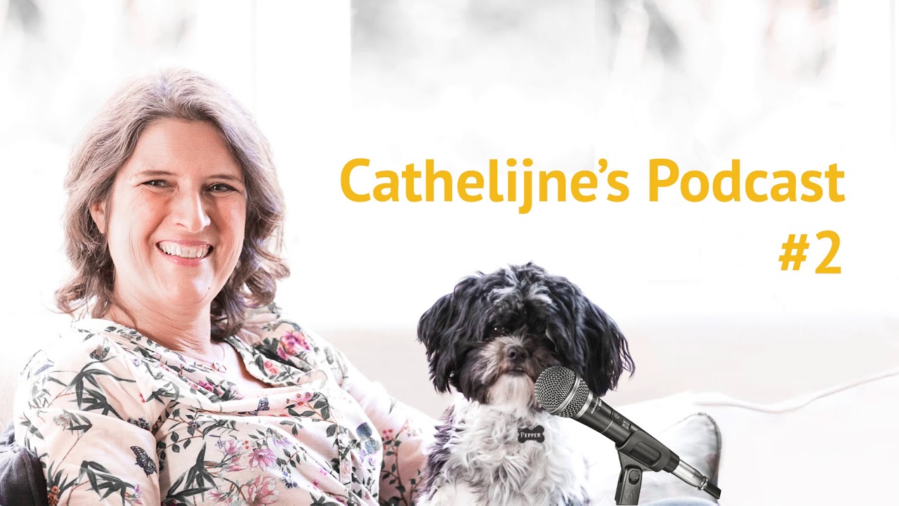Cathelijne's Podcast #2 Waarom Jij Als Beelddenker Maar Niet In Actie Kunt Komen