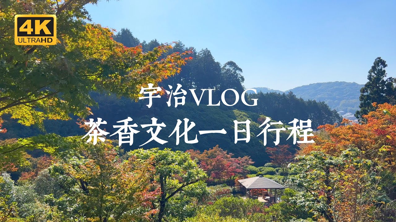 【宇治VLOG】穿越世界遺產，品味宇治茶香一日行程 | 三室戶寺、伊藤久右衛門、宇治上神社、平等院