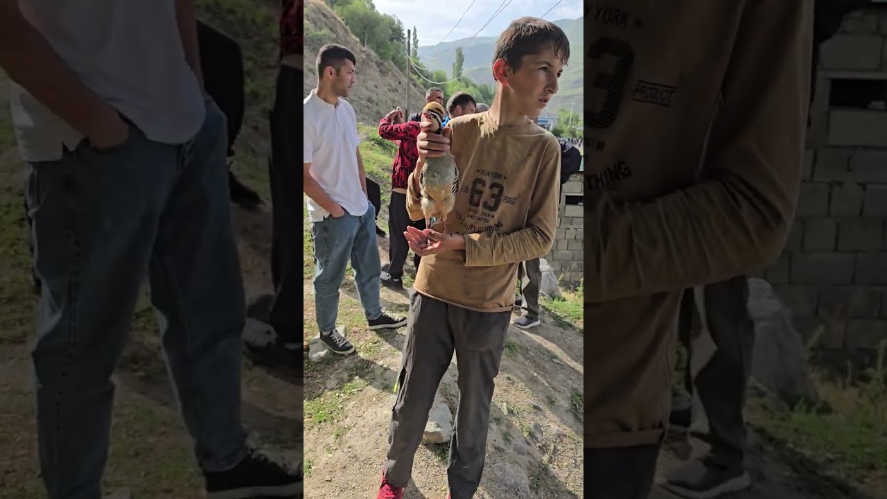 кабк бозори Сайрун,  Точикобод , Хоит ,#tajikistan